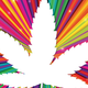 Illustration for article titled Smoking Weed Actually Does Not Lower Your IQ